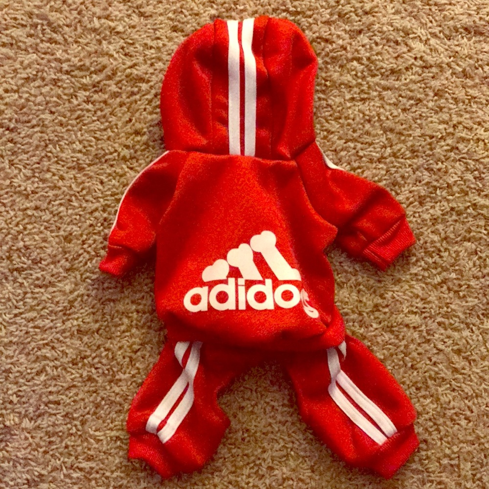 Adidog Dog Tracksuit outfit.